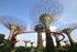 Saint-Gobain Net-Zero carbon by 2050