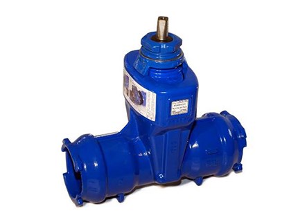 Rserv21eng150 photo euro 20 ng blutop