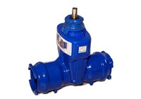 Rserv21eng150 photo euro 20 ng blutop
